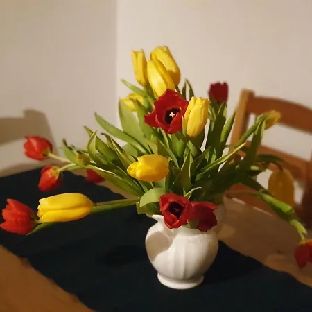 Emilia Apartamento Hallstatt