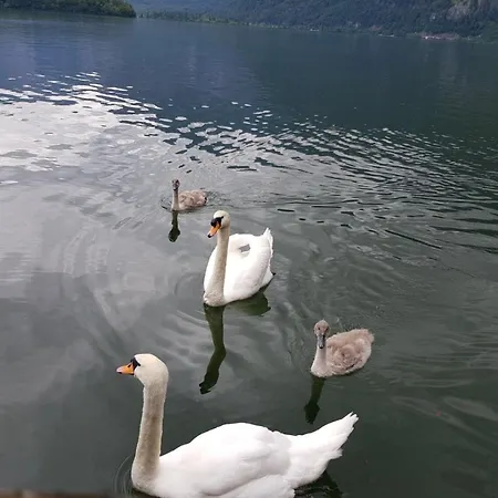 Appartement Emilia Hallstatt