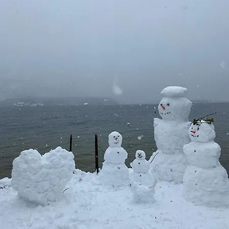 Emilia * هالشتات