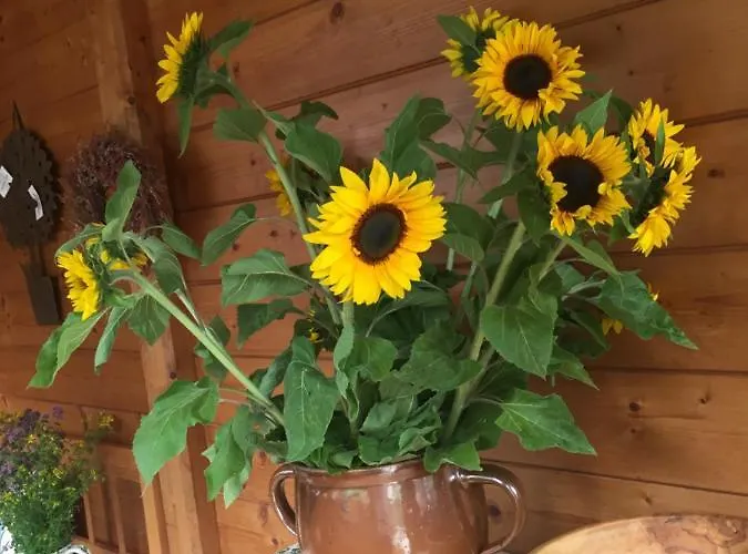 Emilia * 할슈타트