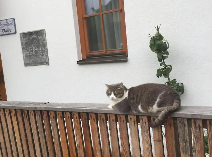 Emilia Lejlighed Hallstatt