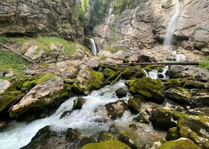 Daire Emilia Hallstatt