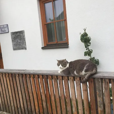 Emilia Apartment Hallstatt