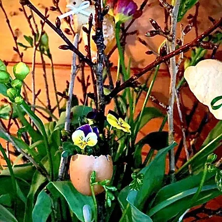 Apartment Emilia Hallstatt