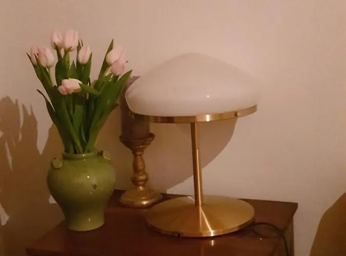 公寓 Emilia 哈尔施塔特