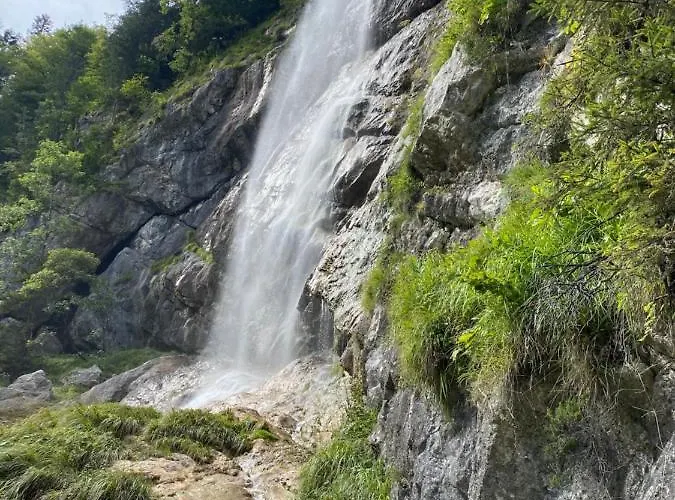 Emilia * 哈尔施塔特