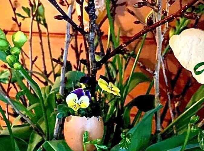 公寓 Emilia 哈尔施塔特