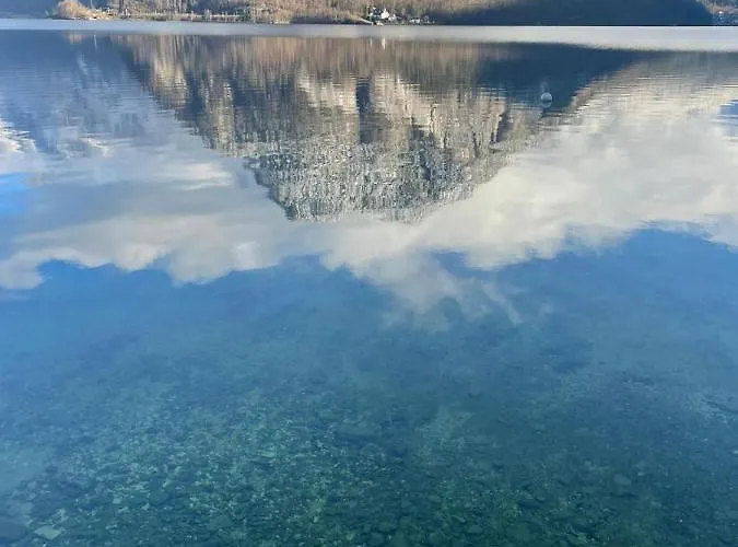 Emilia 公寓 哈尔施塔特