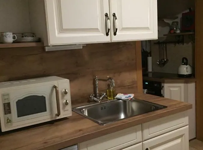 公寓 Emilia 哈尔施塔特